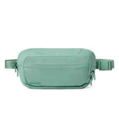 The All-Day Crossbody